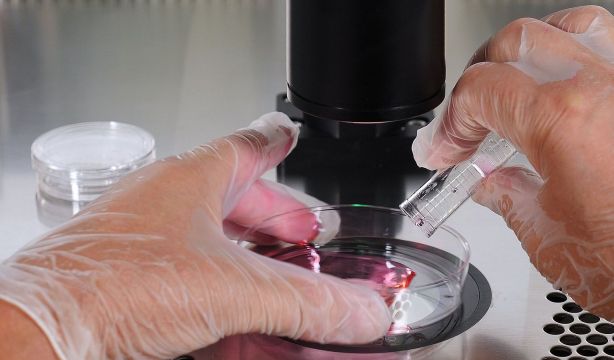 Una nueva técnica podría duplicar la tasa de embriones viables en reproducción asistida