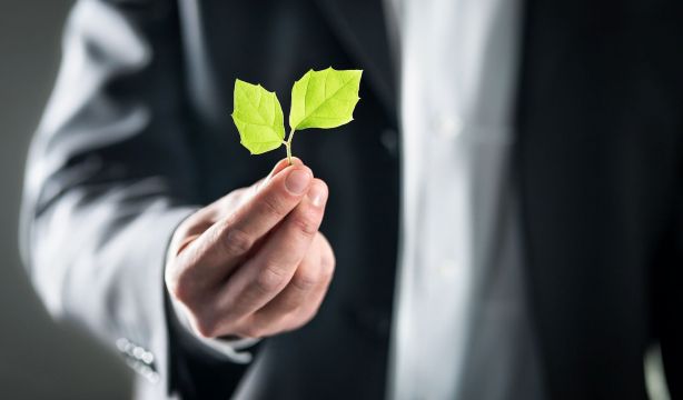 Los auditores advierten: habrá retroceso en equidad, marco laboral y cambio climático