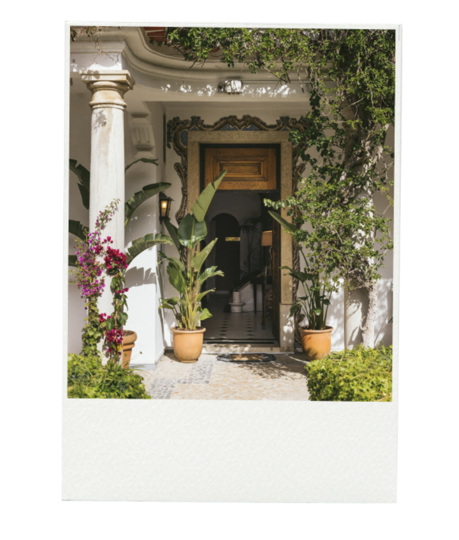 Captura de pantalla 2025 07 09 a las 15.45.47