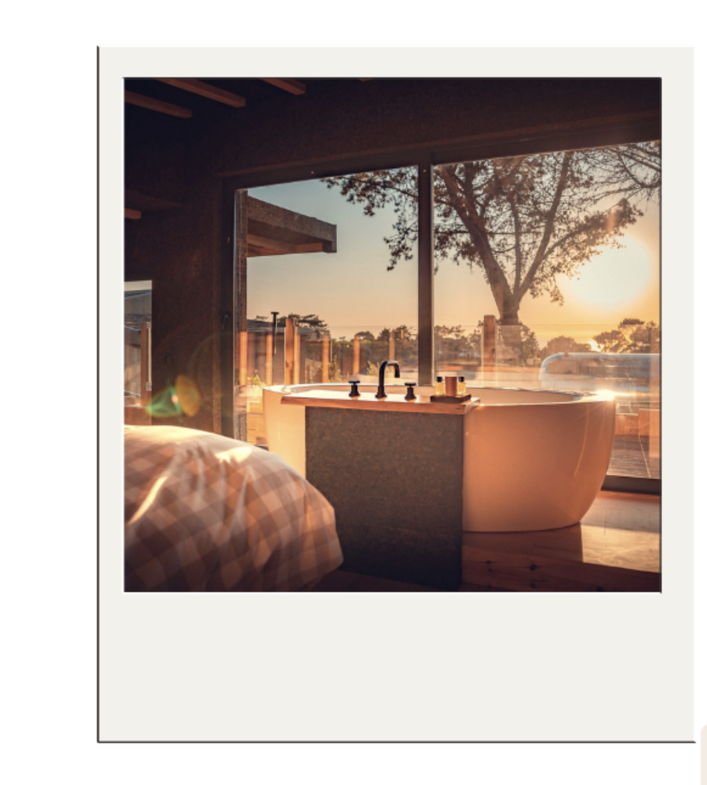 Captura de pantalla 2025 07 09 a las 15.48.34