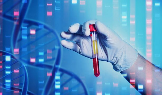 Esta una de las razones poderosas por las que unas personas viven más que otras. (Bigstock)