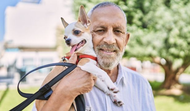 Viajes del Imserso 2025-2026: quiénes pueden viajar con su mascota y cuáles son los requisitos