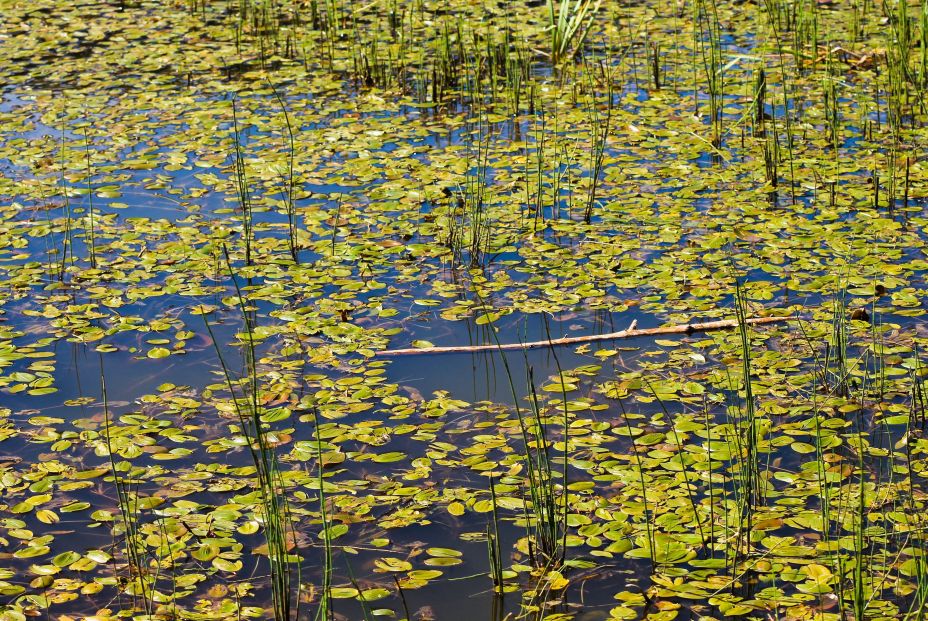 Lagunas de Neila Lagunas de Neila