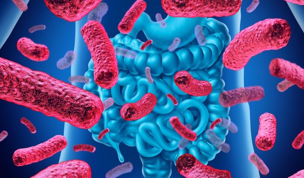 Los otros efectos de la gripe: cambios en la microbiota pulmonar y riesgo de más infecciones
