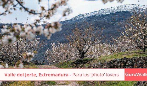 Perseidas GuruWalk 7