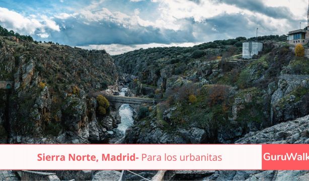 Perseidas GuruWalk 10