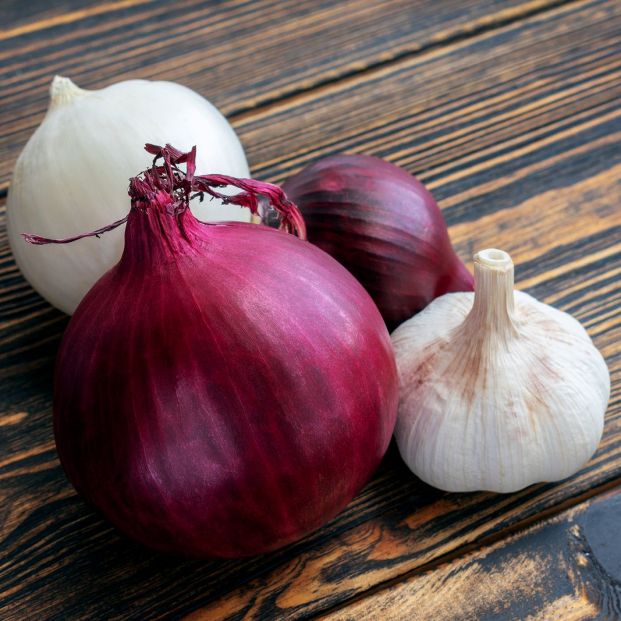 El ajo y la cebolla ayudan a reducir el riesgo de cáncer de mama El ajo y la cebolla ayudan a reducir el riesgo de cáncer de mama