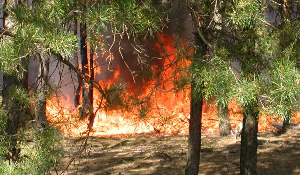 Multas de hasta mil euros por fumar o 3 años de cárcel por provocar un incendio en el monte
