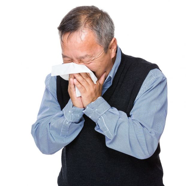 fiebre del heno fiebre del heno