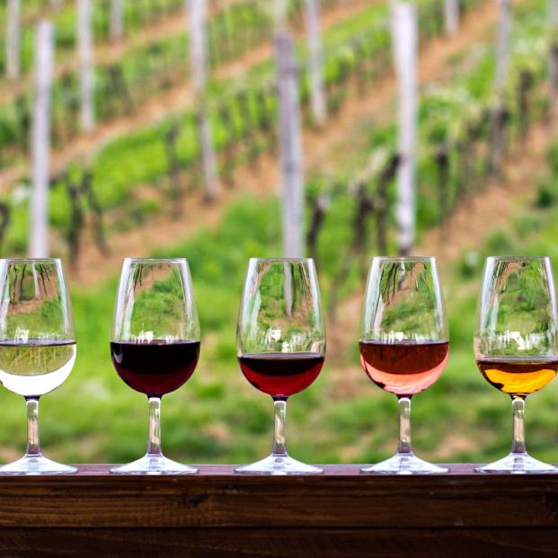 Qué significa la añada de un vino y cómo me afecta al comprarlo