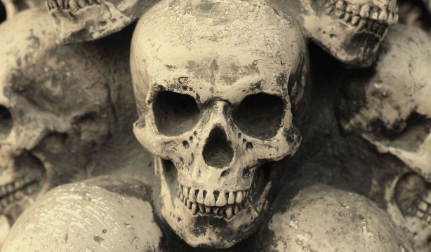 Identifican el origen de la peste negra, la mayor pandemia de la historia