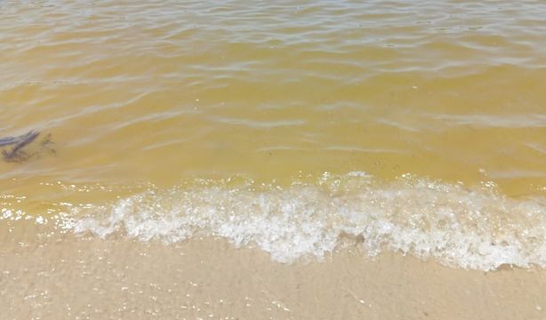 Marea roja en varias playas de Galicia: ¿en qué consiste este fenómeno? ¿es peligroso?