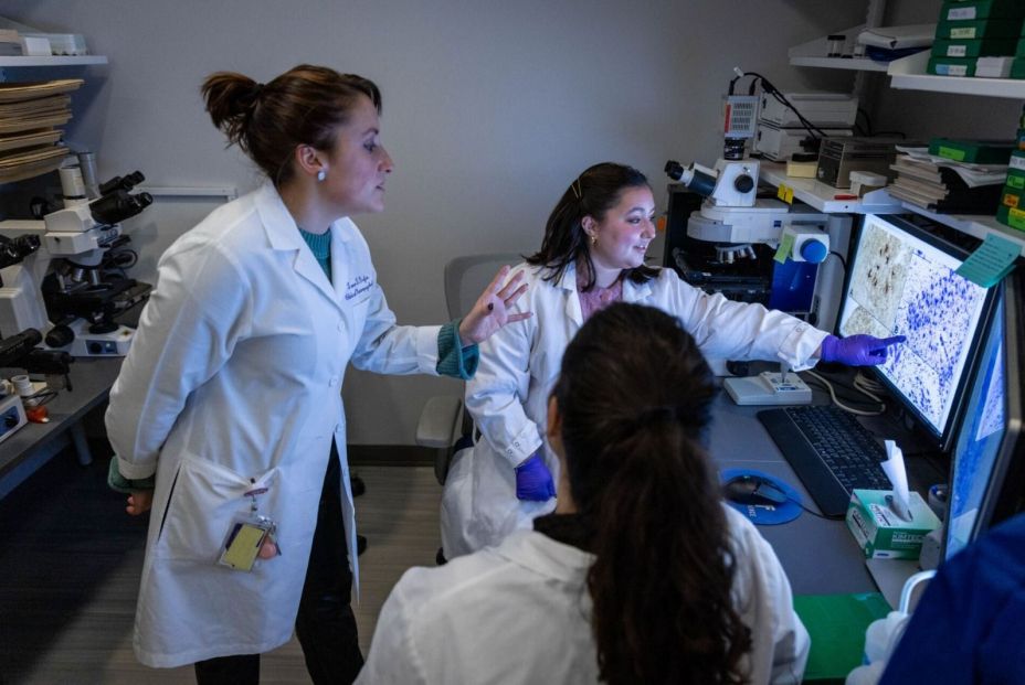 WhatsApp Image 2025 08 06 at 16.28.30