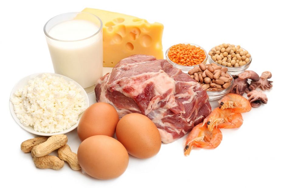 bigstock Food high in protein isolated81432587 bigstock Food high in protein isolated81432587