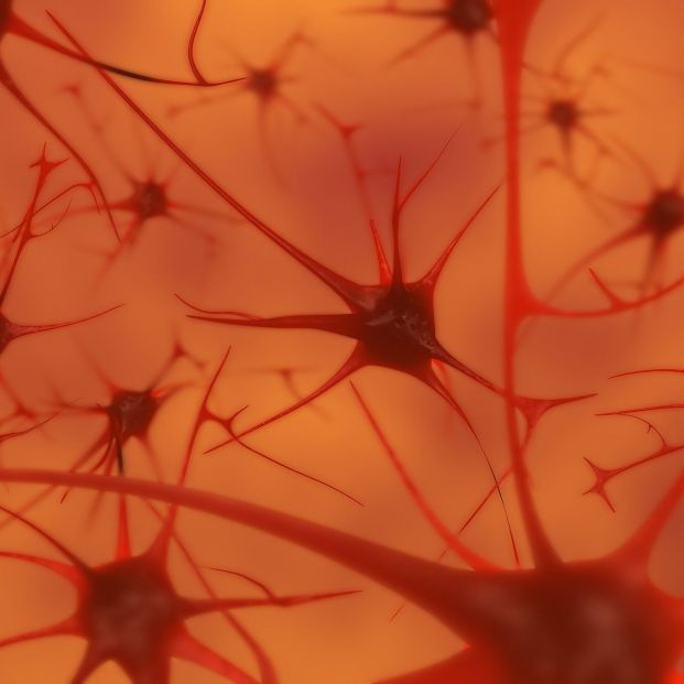 bigstock Neurons In The Brain 7374938
