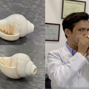 Low Res Shankh Low Res Shankh