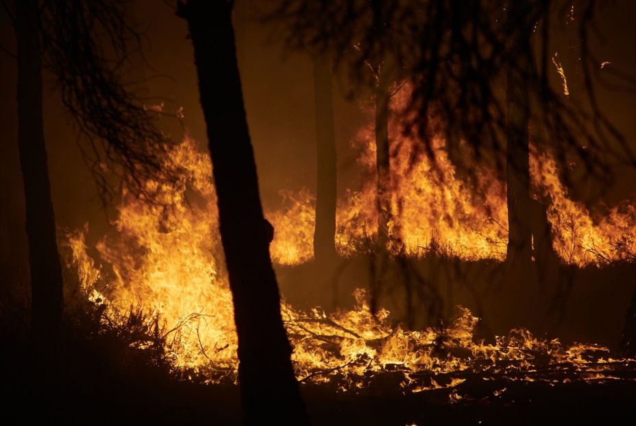 Un verano marcado por los incendios: hasta el 3 de agosto se han quemado 39.155 hectáreas