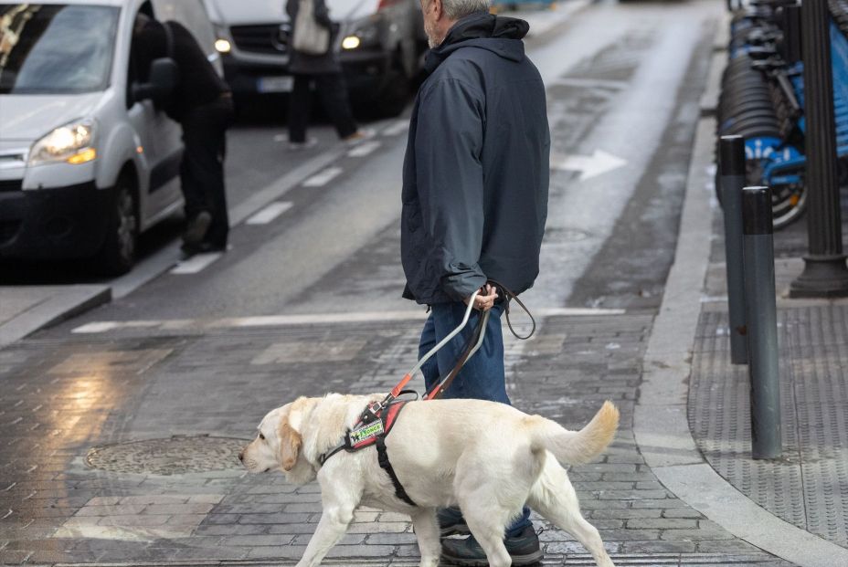 EuropaPress 6483766 persona discapacidad visual camina acompanada perro guia 28 enero 2025