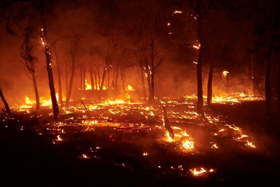¿Derecho a indemnización por un incendio forestal fortuito? Esto es lo que debes saber ¿Derecho a indemnización por un incendio forestal fortuito? Esto es lo que debes saber