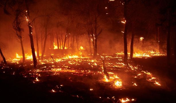 Ingenieros de Montes piden más inversión en prevención contra incendios 