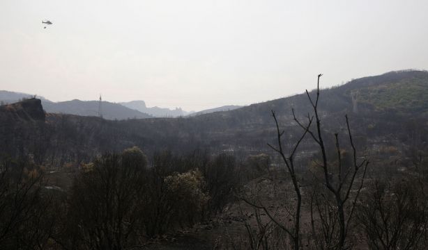 Arqueólogo asocia los fuegos de Las Médulas y la Mezquita de Córdoba con la "privatización" (Fernando Otero / Europa Press)