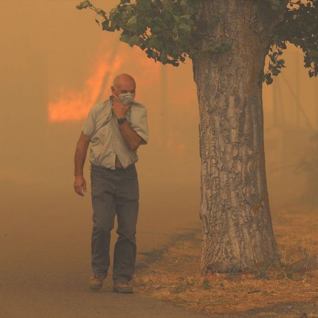 Los pasos a seguir para protegerse del fuego y humo provocados por los incendios forestales