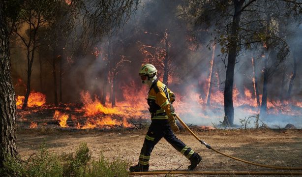 Asociaciones Vecinales critican "recortes" y "privatización" en prevención de incendios