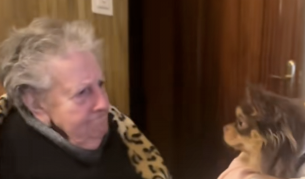 Una mujer visita a diario a la mejor amiga de su abuela ya fallecida: "Ella estaría orgullosa de tí"