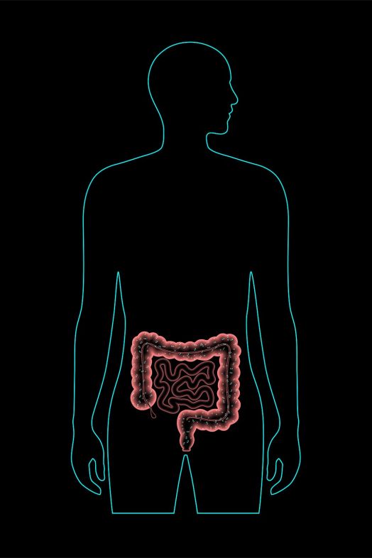 bigstock Gut Microbiome Medical Poster432722939