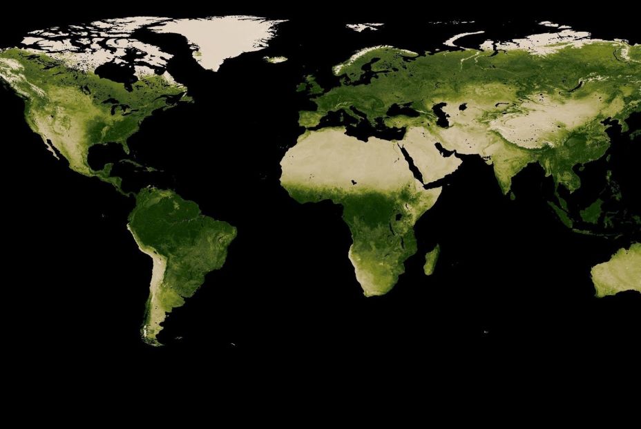 EuropaPress 4962280 mapa estado grandes areas boscosas obtenido partir imagenes satelite