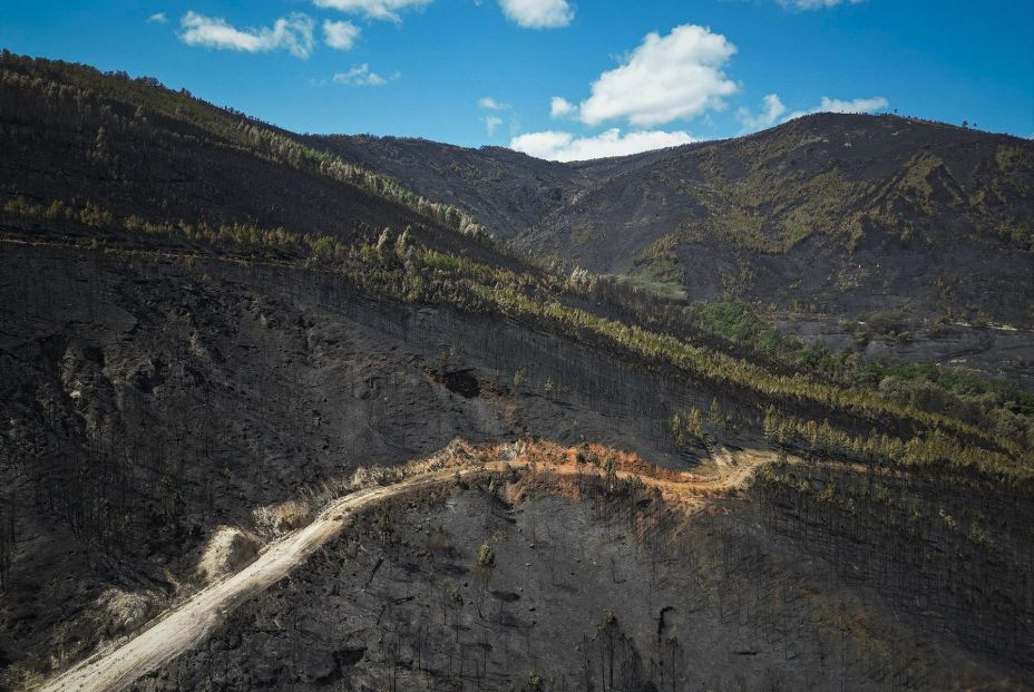 Casi 400.000 hectáreas han ardido en España en 2025, la mayoría en el último mes Casi 400.000 hectáreas han ardido en España en 2025, la mayoría en el último mes