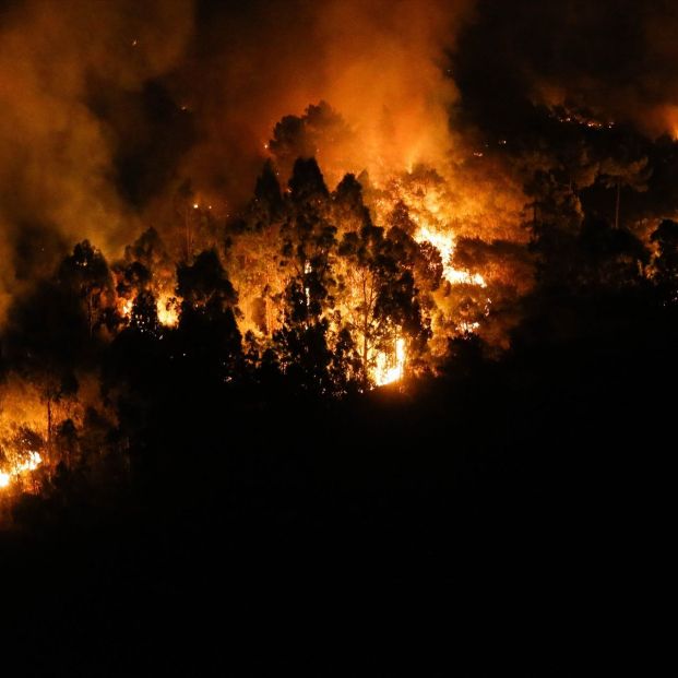 Aún hay activos más de una veintena de incendios graves, pese al fin de la ola de calor Aún hay activos más de una veintena de incendios graves, pese al fin de la ola de calor