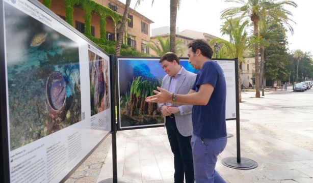 La exposición 'La veu de la mar' llega a Mallorca para mostrar la belleza del Mediterráneo