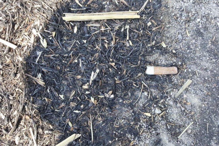 EuropaPress 1320057 colilla posible causa incendio sant fruitos barcelona