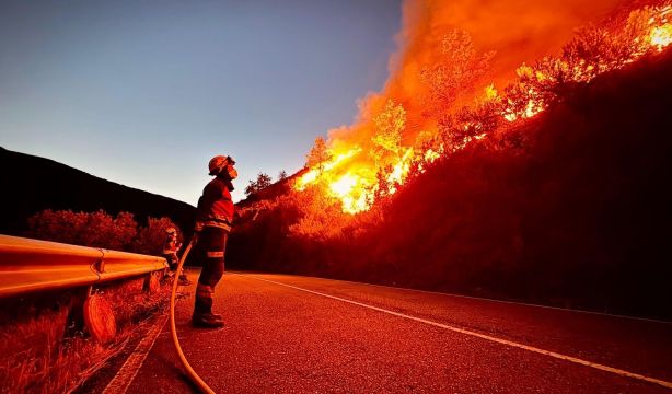 Invertir en prevención, clave para luchar contra los grandes incendios forestales