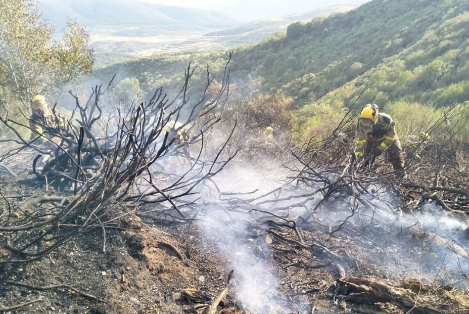 EuropaPress 6913095 efectivos infoar desplazados gobierno aragon incendio barniedo reina leon