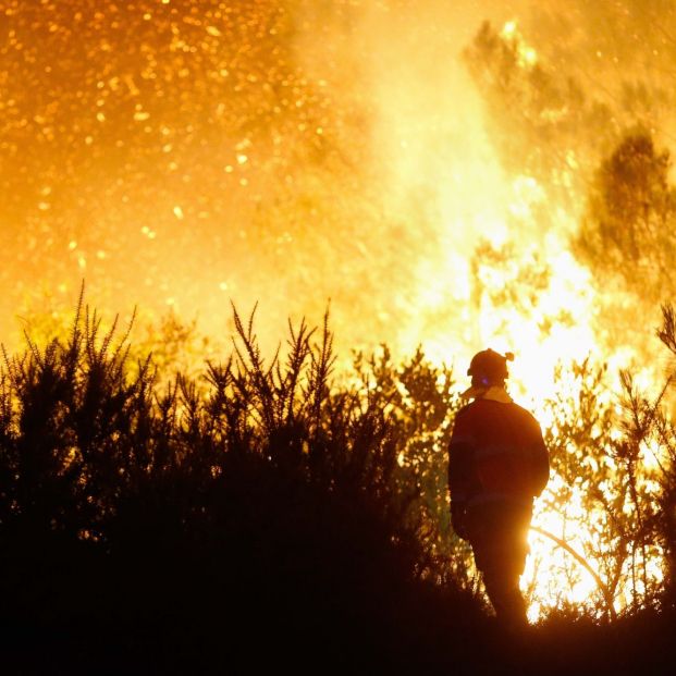 El Gobierno declara 'zona catastrófica' territorios en todas las CCAA, excepto País Vasco (Europa Press)