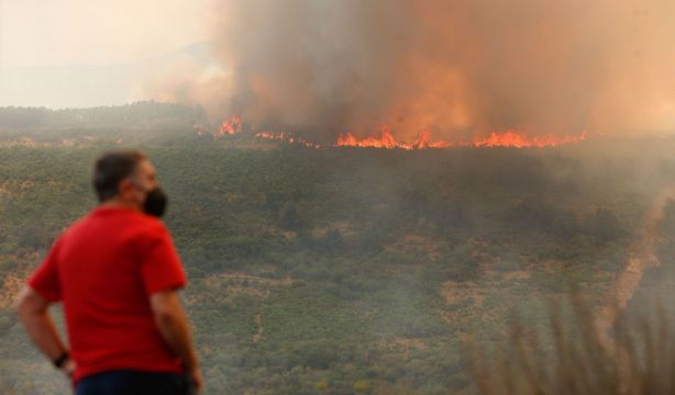 El Gobierno declara 'zona catastrófica' territorios en todas las CCAA, excepto País Vasco (Carlos Castro / Europa Press)