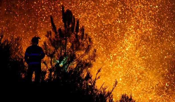 Invertir en prevención, clave para luchar contra los grandes incendios forestales