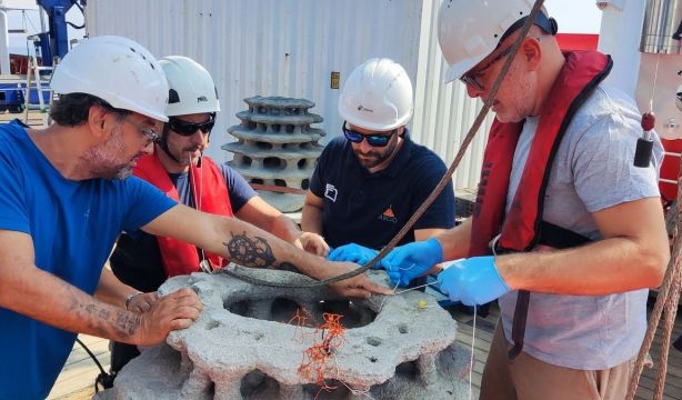 Arrecifes artificiales en el mar de Alborán para restaurar los corales de profundidad