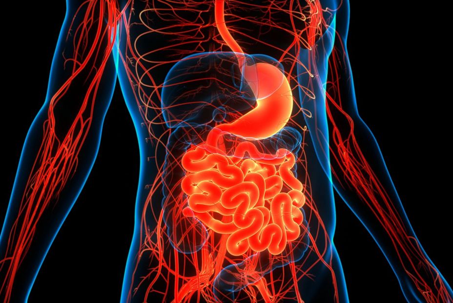 bigstockd Illustration Concept Of Hum 383475317