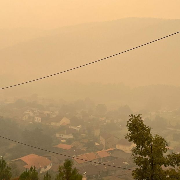Patricia Velasco, afectada por los incendios: "Ha sido un auténtico infierno" (Cedida por la entrevistada) Patricia Velasco, afectada por los incendios: "Ha sido un auténtico infierno" (Cedida por la entrevistada)