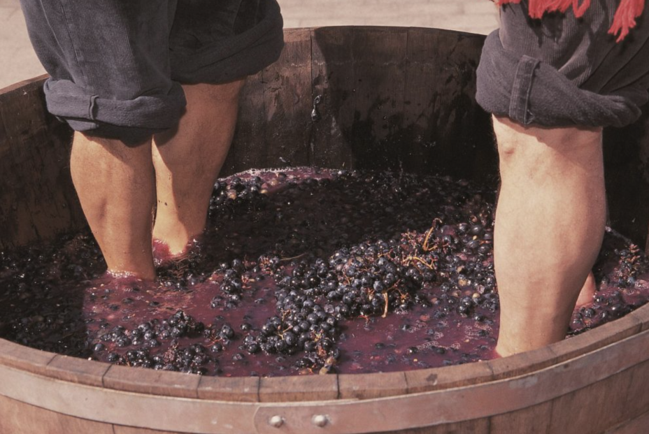 Captura de pantalla 2025 08 29 a las 12.49.54