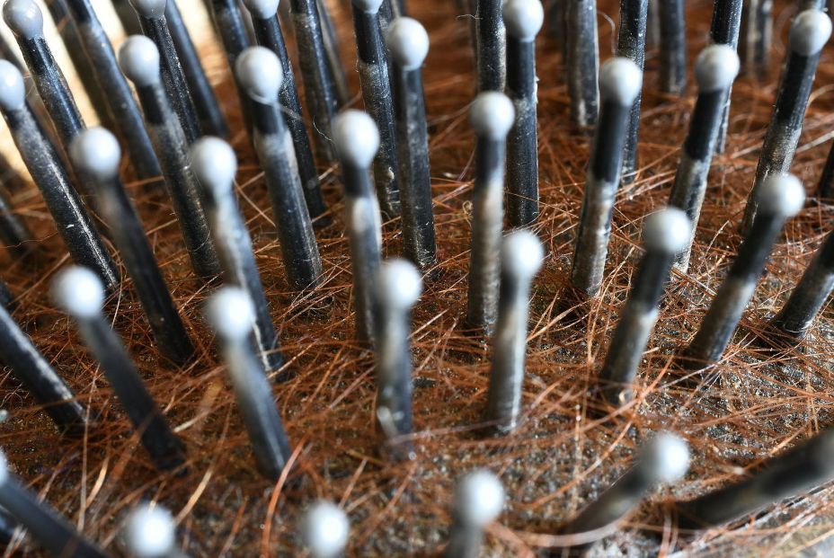 bigstock A Close Up Image Of A Dirty Ha 284689603 2