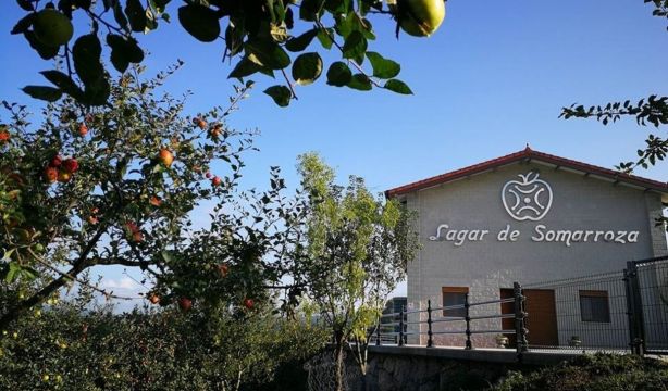 La mejor sidra del mundo es... de Cantabria. Fuente: EuropaPress