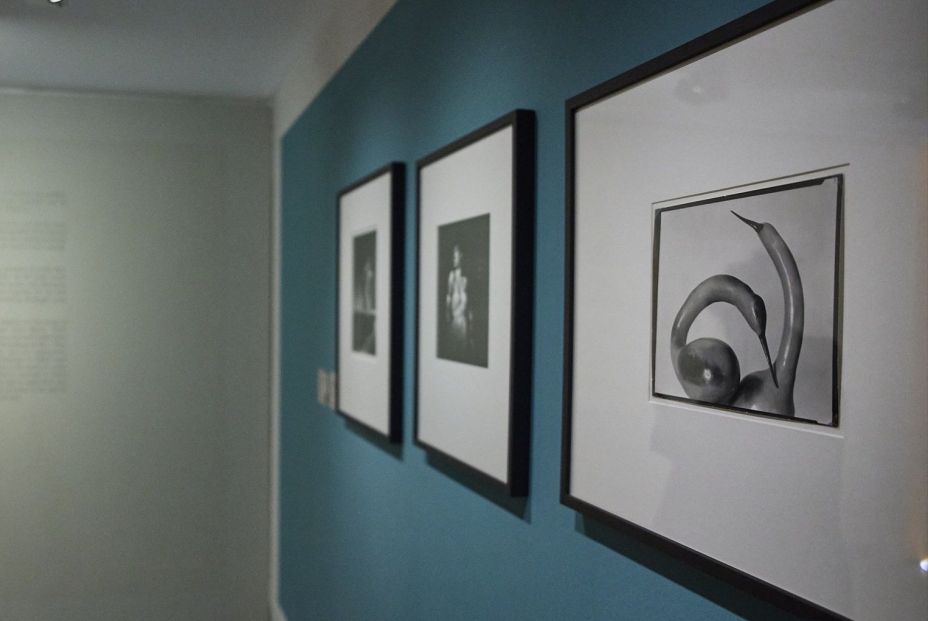 EuropaPress 4343368 fotografia calabazas 1926 edward weston exposicion fotografia descubierto