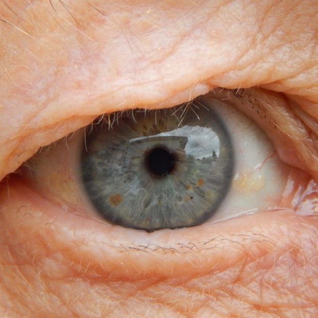 CEOMA apoya ‘Objetivo DMAE’ para mejorar la calidad de vida de los mayores con degeneración macular CEOMA apoya ‘Objetivo DMAE’ para mejorar la calidad de vida de los mayores con degeneración macular