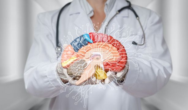 Decálogo para mantener un cerebro saludable. (Bigstock)