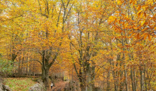 6 rutas de senderismo para hacer en otoño cerca de Madrid