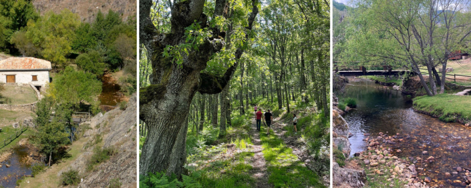 6 rutas de senderismo para hacer en otoño cerca de Madrid